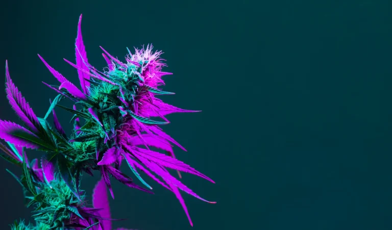 Green Valley Cannabis dispensary Hero Image