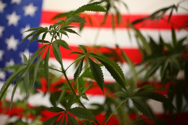 rescheduling cannabis in colorado